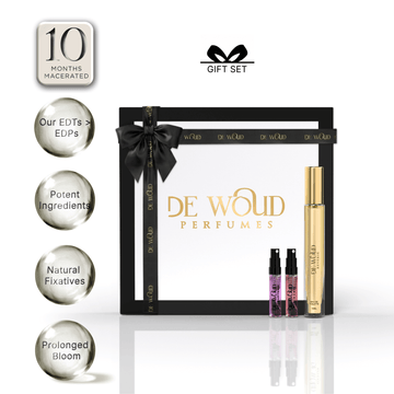 REVERIE DISCOVERY SET