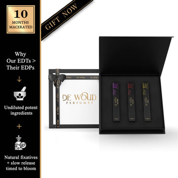 TRAVEL SET‎ㅤ (3x10ML)