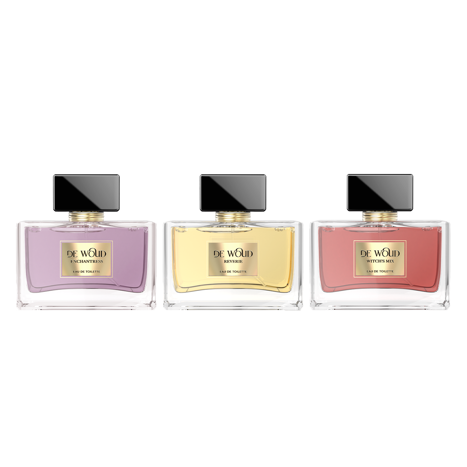ENCHANTRESS PERFUME, REVERIE PERFUME & WITCH'S MIX PERFUME COMBO (60 ML)