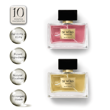 DARK MEET DIVINE COMBO